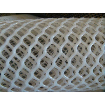 Suppliy Oyester Plastic Mesh